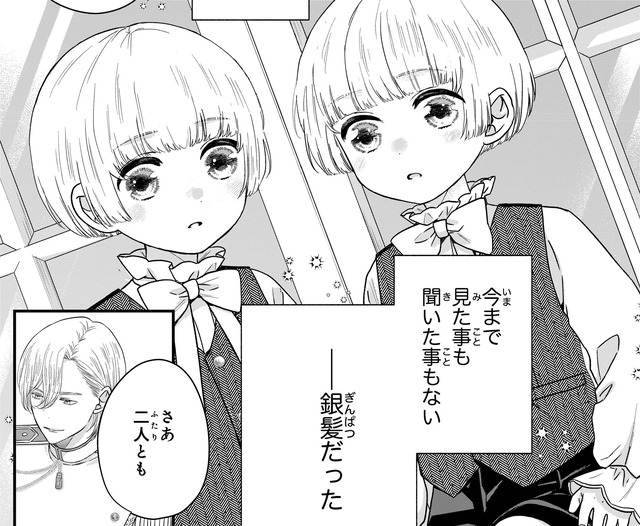 「今まで見たことも聞いたこともない 」双子王子たちの珍しい銀髪に驚きを隠せない【双子王子の継母になりまして #14】
