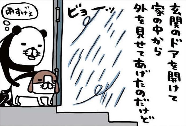 雨風強い日に愛犬。濡らさないように、そっと包み込むのはナゼ？【パンダと犬 ＃26】