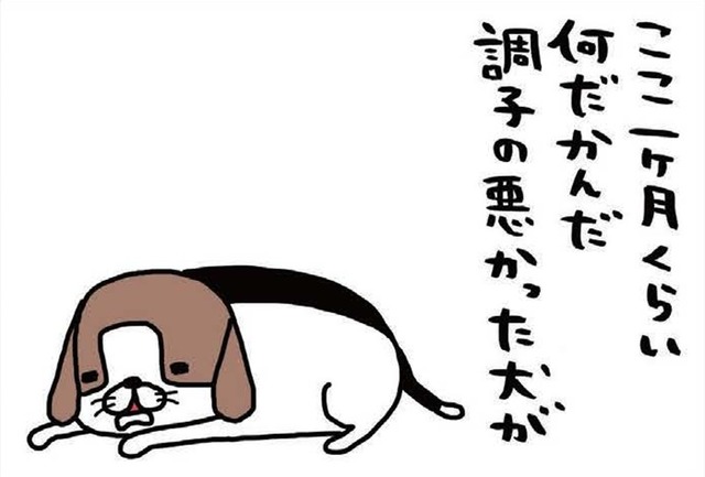飼い主あるある！「何しに来たっけ？」用事でリビングへ行ったのに、愛犬に夢中で【パンダと犬 ＃28】