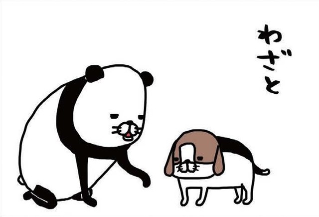 犬にわざと手をふんでもらう理由は？愛犬の肉球、何を感じる？【パンダと犬 ＃30】