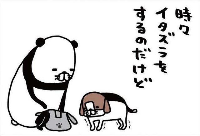 老犬・梅吉がヨボヨボしてイタズラをしに来る…スピードの遅さが逆にかわいい【パンダと犬 ＃32】