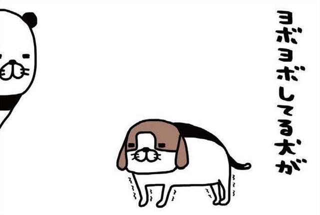 ヨボヨボ愛犬、一人でできないことが増えるばかり。それでも愛おしすぎるのはナゼ？【パンダと犬 ＃35】