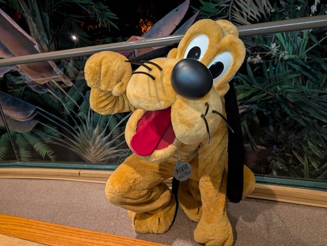 【海外ディズニー】農夫スタイルのミッキーがごあいさつ！エプコットの人気レストランを体験　フロリダ WDW