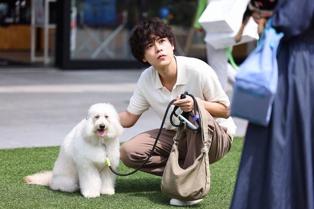 成田凌「初恋DOGs」（C）TBS