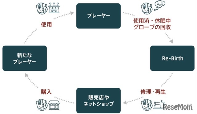 野球グローブの循環が生み出す未来「サーキュラーエコノミー」