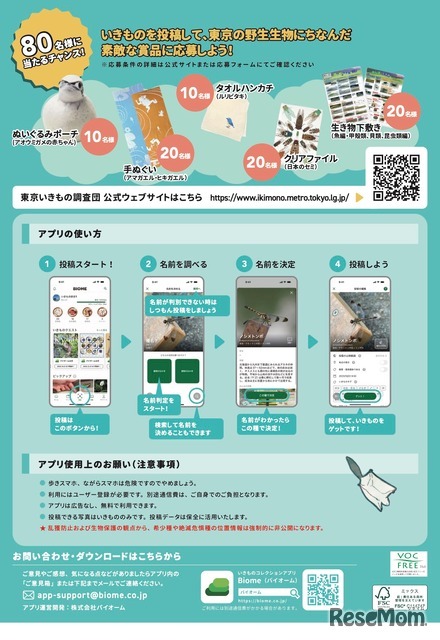 東京いきもの調査団 2025夏編 チラシ