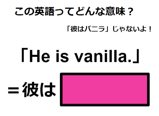 この英語ってどんな意味？「He is vanilla. 」