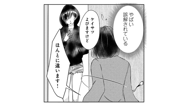 もう楽になりたい！ シェアハウスでメンヘラな女友達が大暴れ…【夫の元不倫相手とルームシェアしています #９】