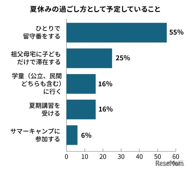 小学生の夏休みの過ごし方として予定していること