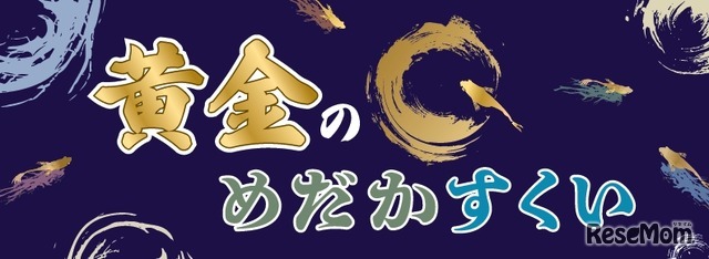 黄金のめだかすくい
