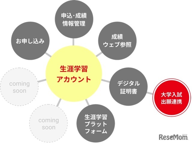 今後の展望