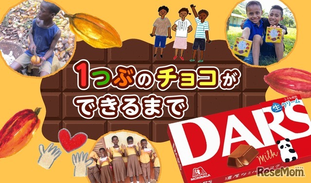 1つぶのチョコができるまで