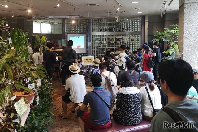 観察会