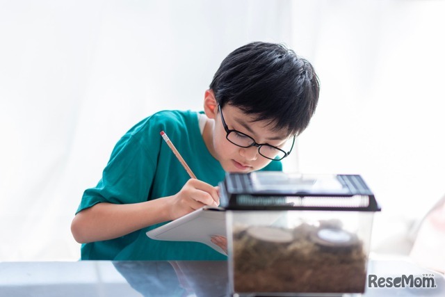いこーよユーザーアンケートをもとに子どもの自由研究について調査・分析