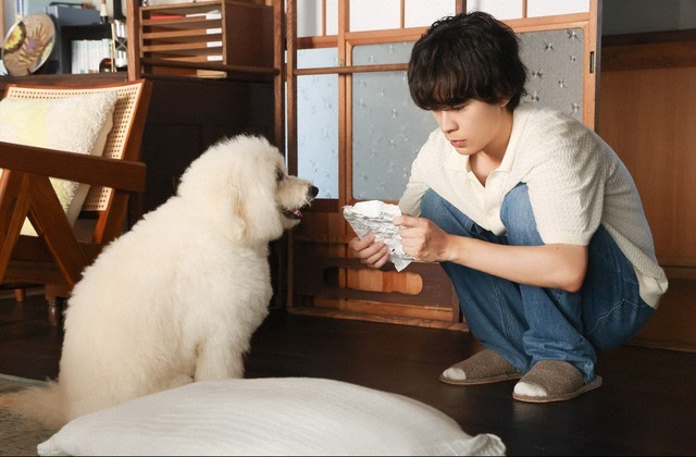 「初恋DOGs」第8話　©TBS