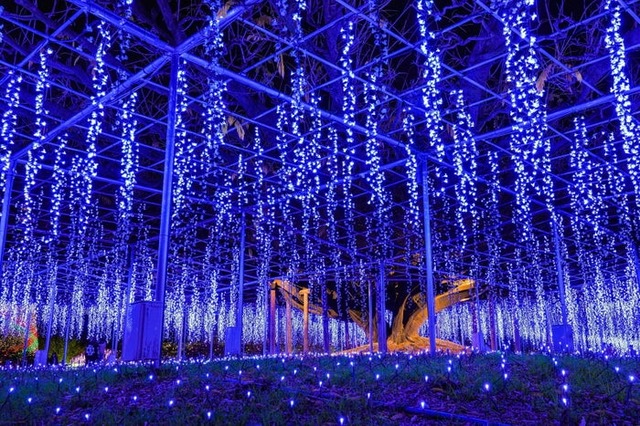 光の花の庭～Flower Fantasy（提供写真）