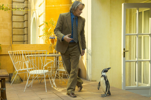 『ペンギン・レッスン』