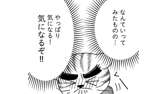 「がんばれ」は禁句？精神科の医者に言われた“家族が絶対にやってはいけないこと”とは【家族もうつを甘くみてました ＃拡散希望＃双極性障害＃受け入れる＃人生 #８】