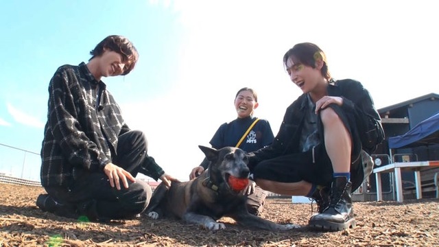 ROIROM「笑える！泣ける！動物スクープ100連発」（C）TBS