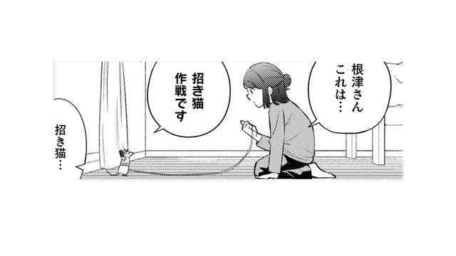 危険な「招き猫作戦」を決行!!「願いを叶える」という言葉にウソはない！【根津さんの恩返し #７】