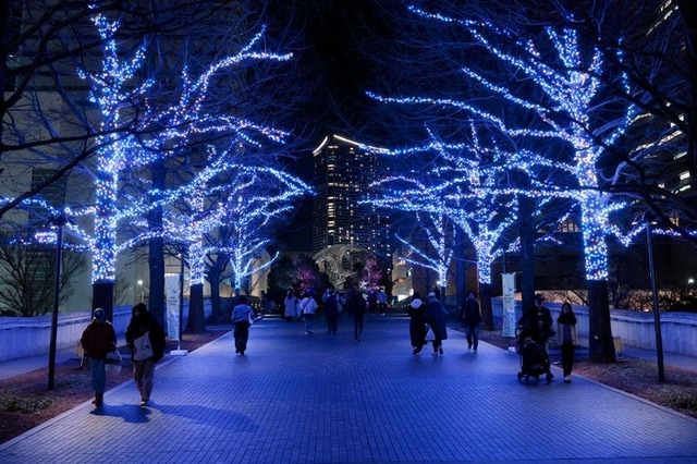 ヨコハマミライト（提供写真）