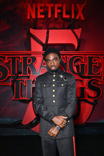 Netflixシリーズ「ストレンジャー・シングス 未知の世界5」LAプレミア