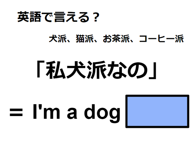 英語で「私、犬派なの」は何て言う？