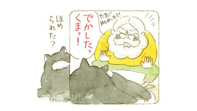 喫茶黒猫。仕込みをするマスターの横で、なぜ猫は「卵」を床に落とすのか…【深夜３時のくろねこ喫茶  #４】
