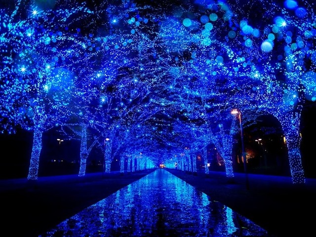 青の洞窟 SHIBUYA／提供画像