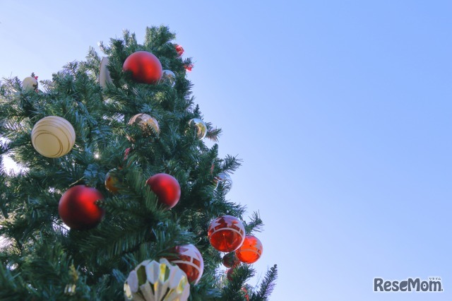 ※画像はイメージです