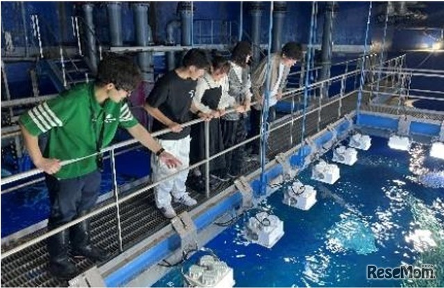 バックヤードツアーのようす