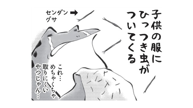 ひっつき虫を服につけて、どんぐりをポケットに入れる…秋がやってきたと感じます【カエル母さん #６】