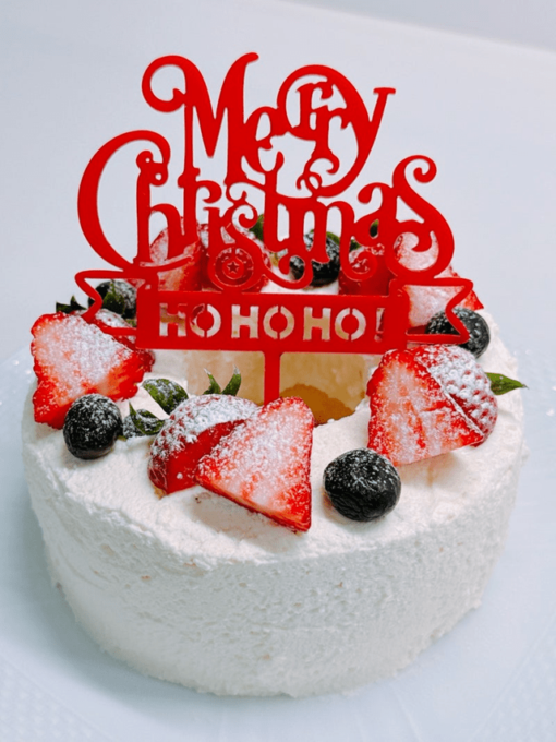 渡辺美奈代、DAISOの型で手作りクリスマスケーキ！完成度に称賛の声「綺麗で可愛い」「お店のよう」