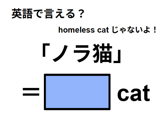 英語で「ノラ猫」は何て言う？