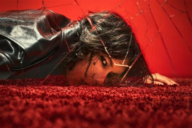 米津玄師（提供写真）