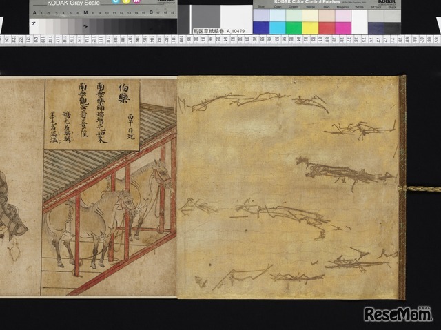 重要文化財　木製彩色婦人乗馬図華鬘（もくせいさいしきふじんじょうばずけまん）