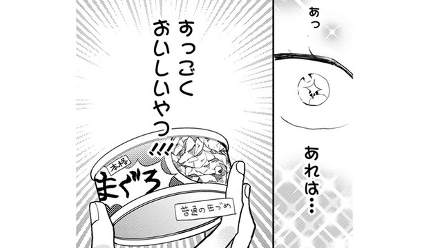 【猫視点】家を出て行こうと思っていたけど、人間が取り出したのは… もう少しここに居る～！【同居人はひざ、時々、頭のうえ。 #10】