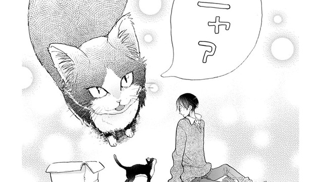 子どもの頃に読んだ絵本。太陽と月は友達だと思ったっけ… 猫の名前、決めた…【同居人はひざ、時々、頭のうえ。 #17】