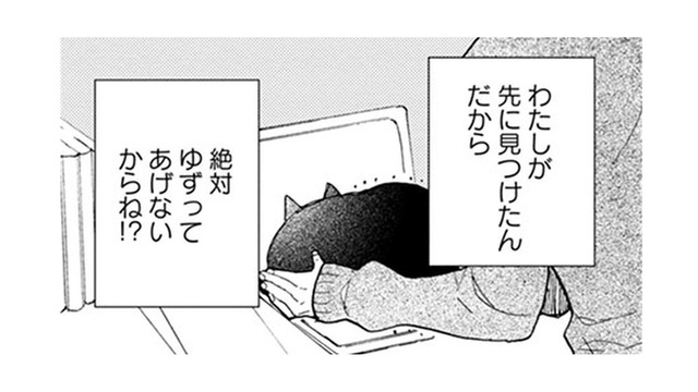 【猫視点】食べたい時にごはんが食べられる。それが当たり前ではなかった日々を思い出す…【同居人はひざ、時々、頭のうえ。 #19】