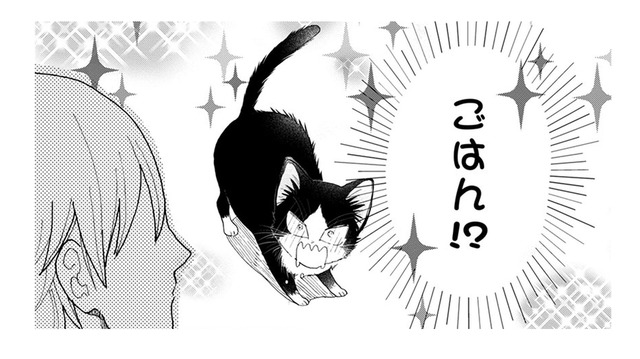 【猫視点】あの人間、よくわからないけど、ごはんをくれる言葉だけはわかる!! もっとちょうだ～い【同居人はひざ、時々、頭のうえ。 #21】
