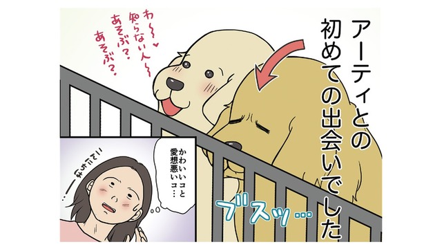 初めての出会いはブスっとした顔…愛想のない仔犬との共同生活の始まり…【おさんぽですし！　おしゃべり犬とイライラ猫の日記 #１】