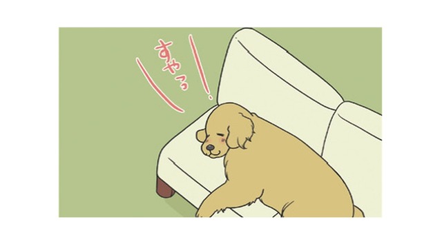 ソファを占領して眠る愛犬…大好きな洗濯物の匂いを確かめてまた夢の中へ？【おさんぽですし！　おしゃべり犬とイライラ猫の日記 #４】
