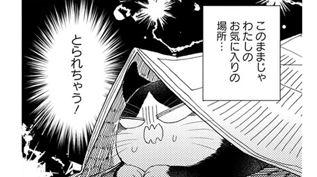 【猫視点】ぼや～んとしたヤツがずっと家にいる！ このままじゃ私の居場所をとられちゃう!!【同居人はひざ、時々、頭のうえ。 #40】