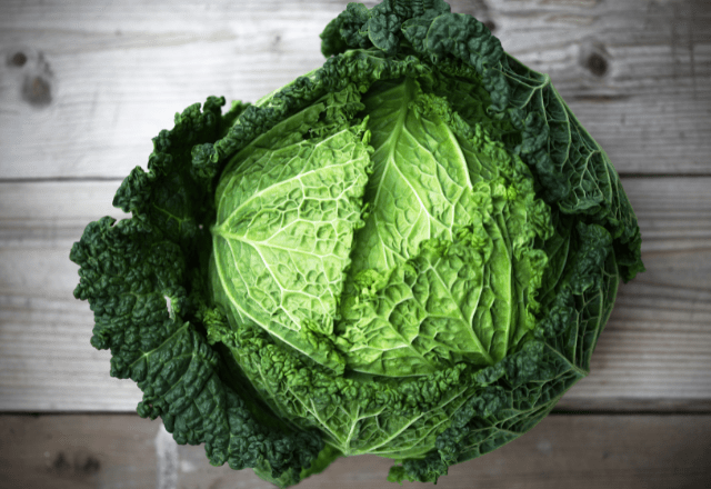 買ったキャベツを廊下に放置→しかし次の瞬間…愛犬の”まさかの行動”に「何これ！」