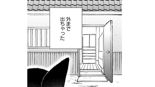 【猫視点】ヤツは消えたけど、今度は苦手な人間が来た！ に、逃げないと!! あれ？ここは外!?【同居人はひざ、時々、頭のうえ。 #43】