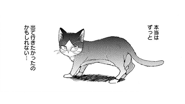 「出て行ったのは猫の意思」だけど、事故にあった両親を思い出して… もう後悔したくない!!【同居人はひざ、時々、頭のうえ。 #47】