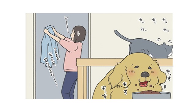 ごはんより安否確認？食事そっちのけで様子を見にくる愛犬がカワイイ【おさんぽですし！　おしゃべり犬とイライラ猫の日記 #10】