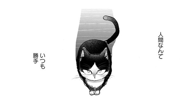 【猫視点】せっかく守ってあげてたのに、急に扉を締められた！ やっぱり私の居場所じゃなかった!!【同居人はひざ、時々、頭のうえ。 #51】