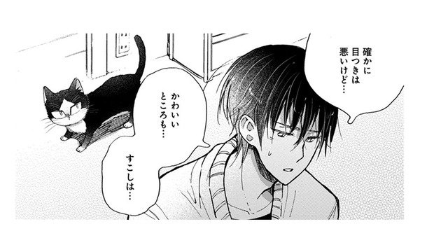 【猫視点】私の役目、わかってるから!! あなたをちゃんと守ってあげるから、安心しなさいよねっ！【同居人はひざ、時々、頭のうえ。 #54】