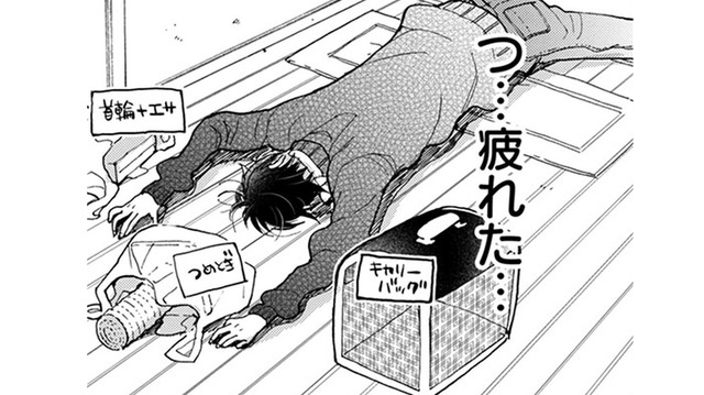 猫連れの知らない女性に話しかけられて、普通にしゃべれてる自分に驚き！え？ 病院で検査!?【同居人はひざ、時々、頭のうえ。 #59】